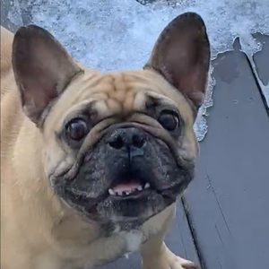 Meet your Posher, Andre